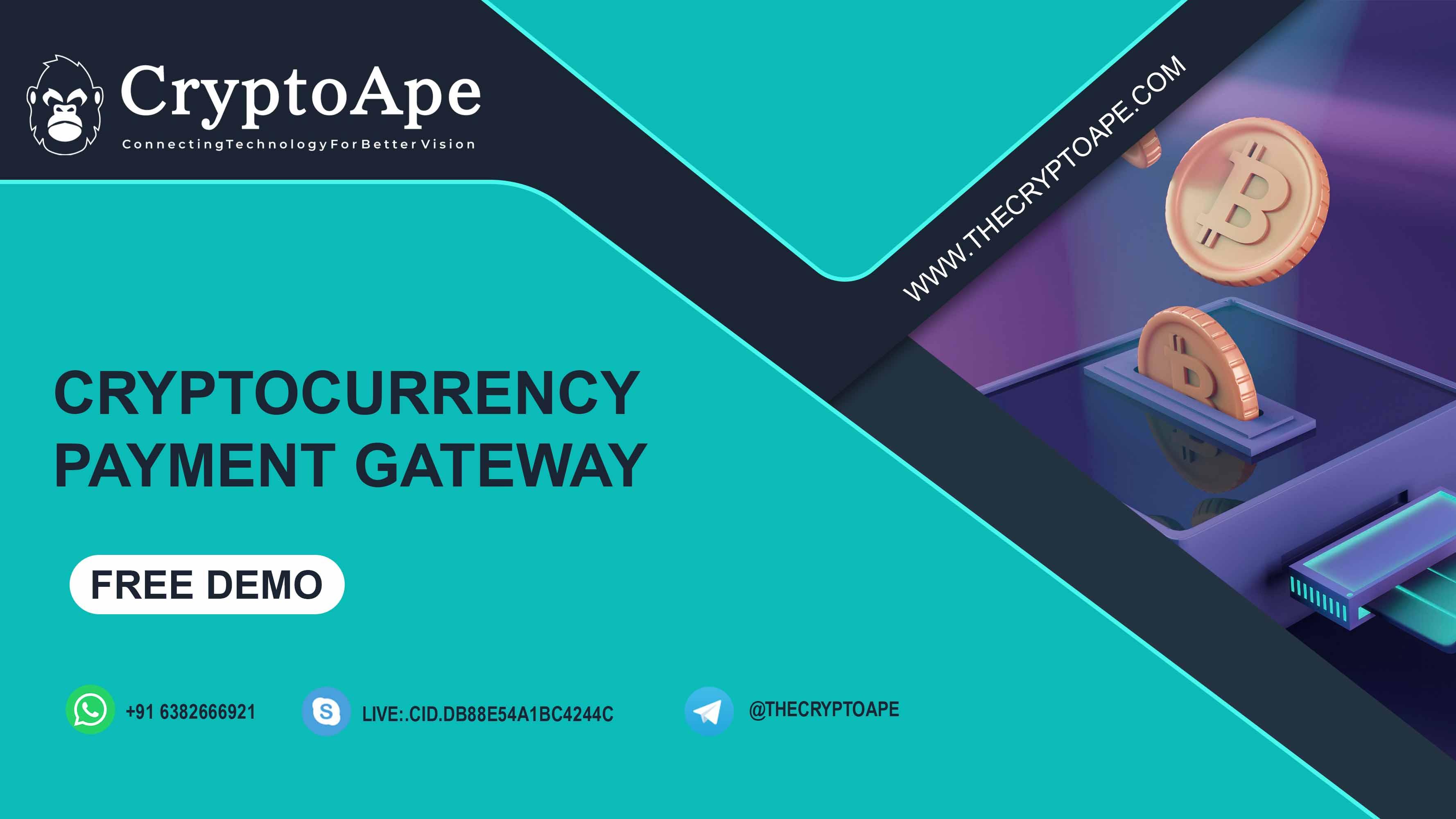 developing-a-crypto-payment-gateway-a-roadmap-to-success