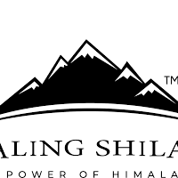 Healing Shilajit