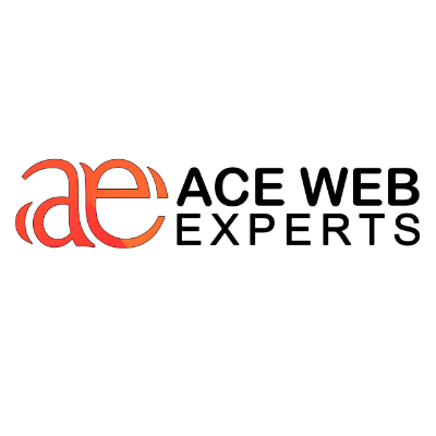 Ace Web  Institute