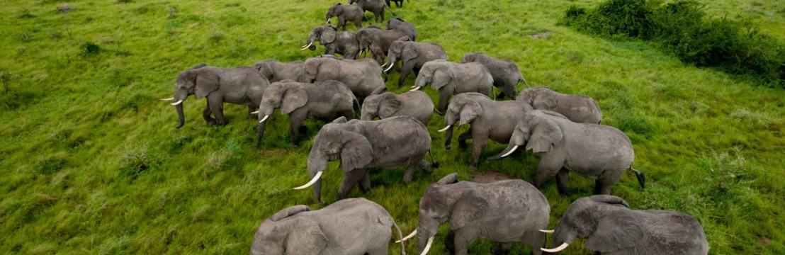 African Landmark Safaris