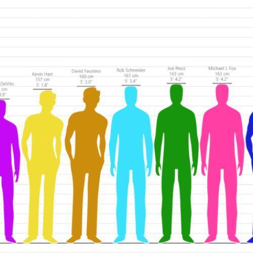 Height Comparison