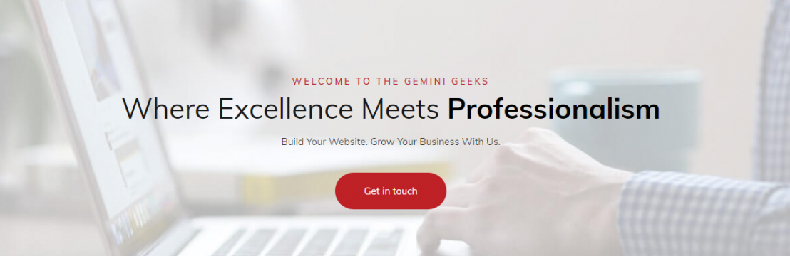 TheGemini Geeks