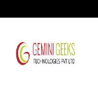 TheGemini Geeks