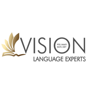 Vision Language Experts