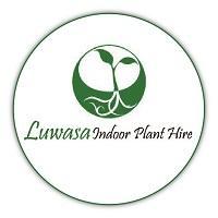 Luwasa Indoor  Plant Hire