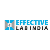 Effective Lab India