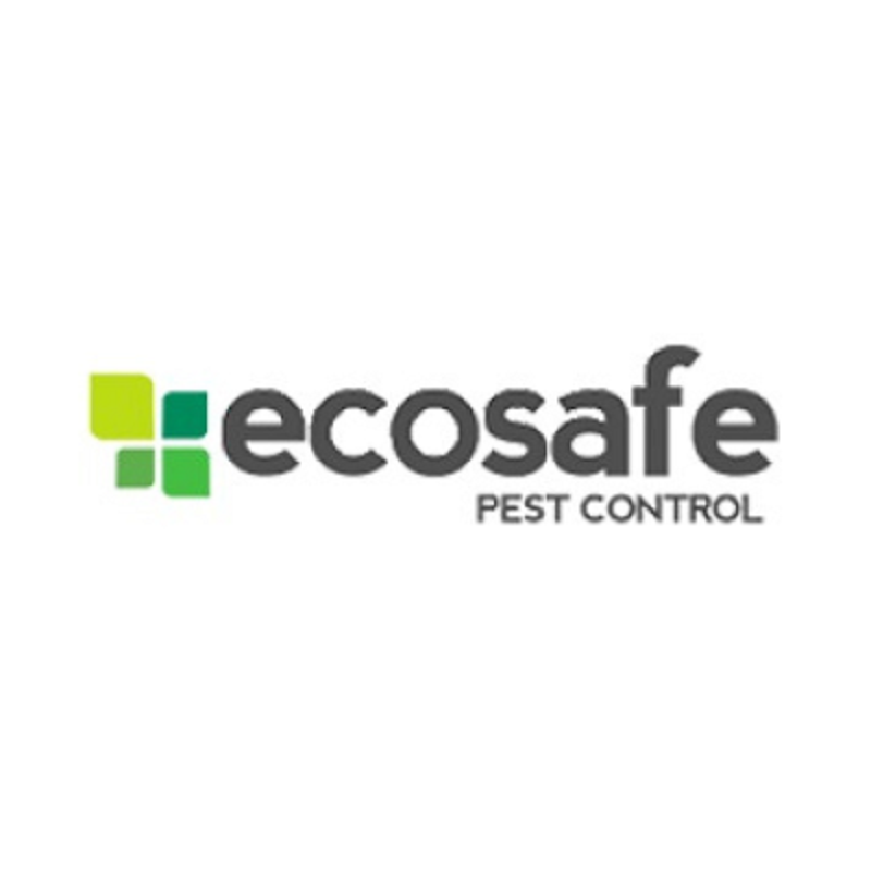Best Pest Control Company in Geelong