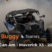  Buggy Andatv