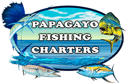 Papagayo Fishing  Charters