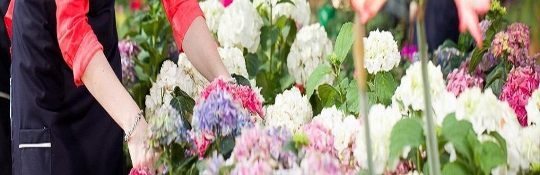 Flower Club Studio