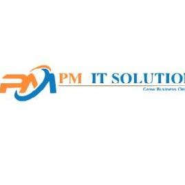 PM  Solution