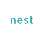 Nest Smart Cam