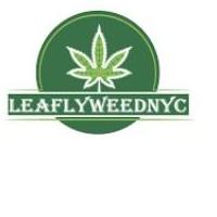 leaflyweed NYC