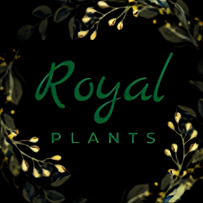 Royal Plants  And Flowers