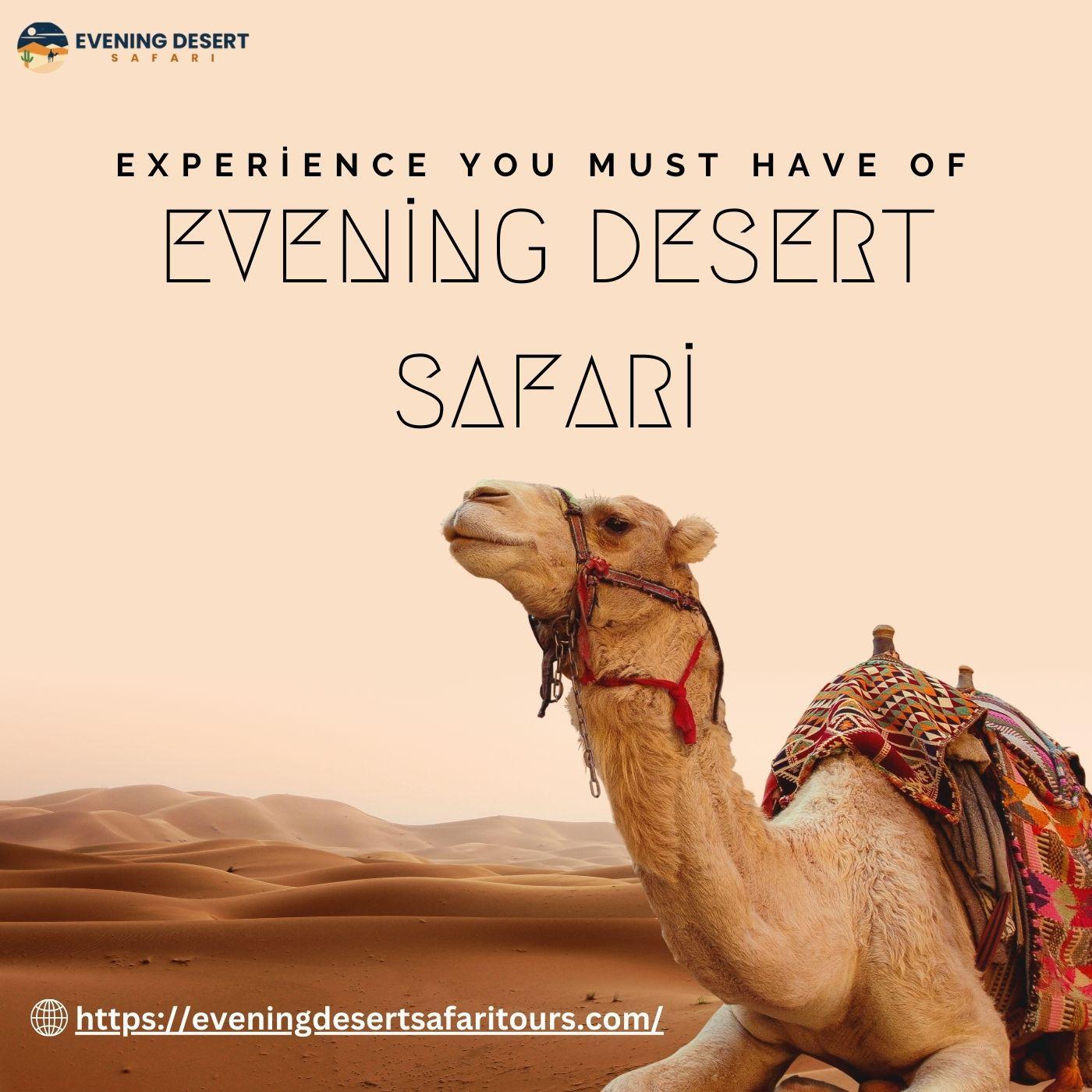 Evening Desert Safari