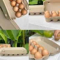 Eggcartons Inbulk