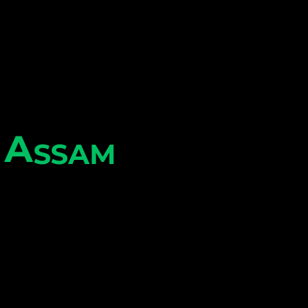 Assam Wonderer