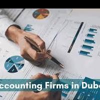 Dubaica Accountant