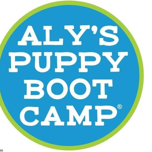 Alys Puppy Boot Camp