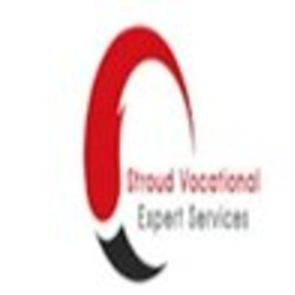 Stroud Vocational Expert Services LLC