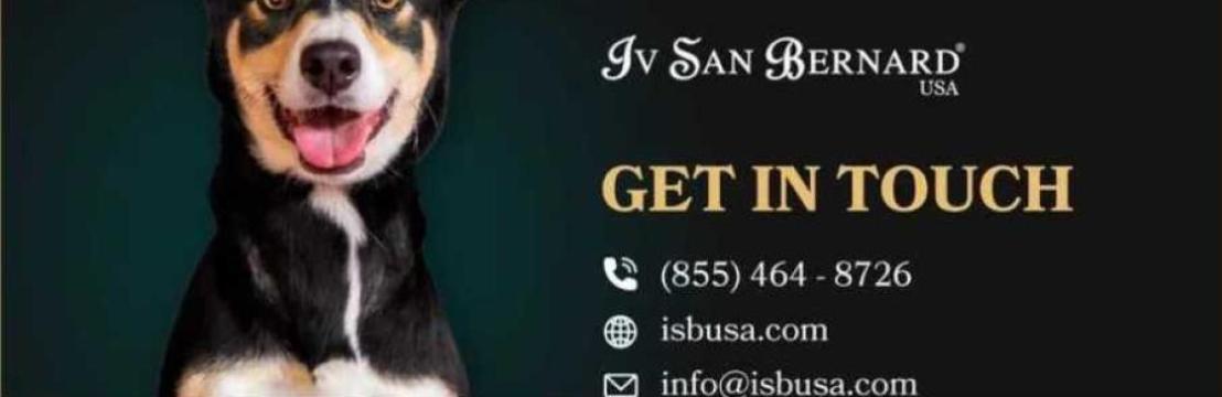 Iv San Bernard USA
