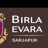 Birla Evara