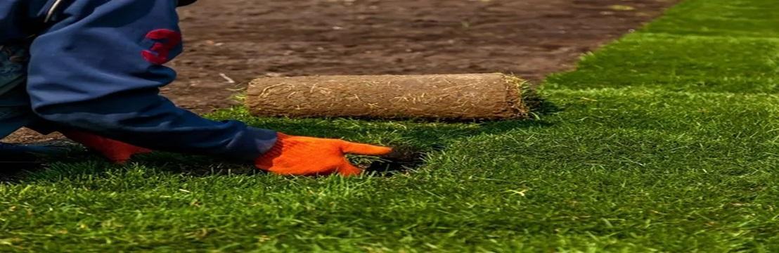 Turf Installation Sydney