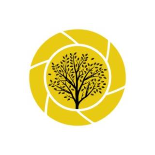 Digiwoods  Marketing