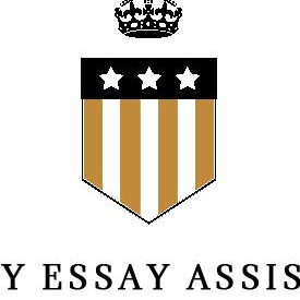 My Essay Assist