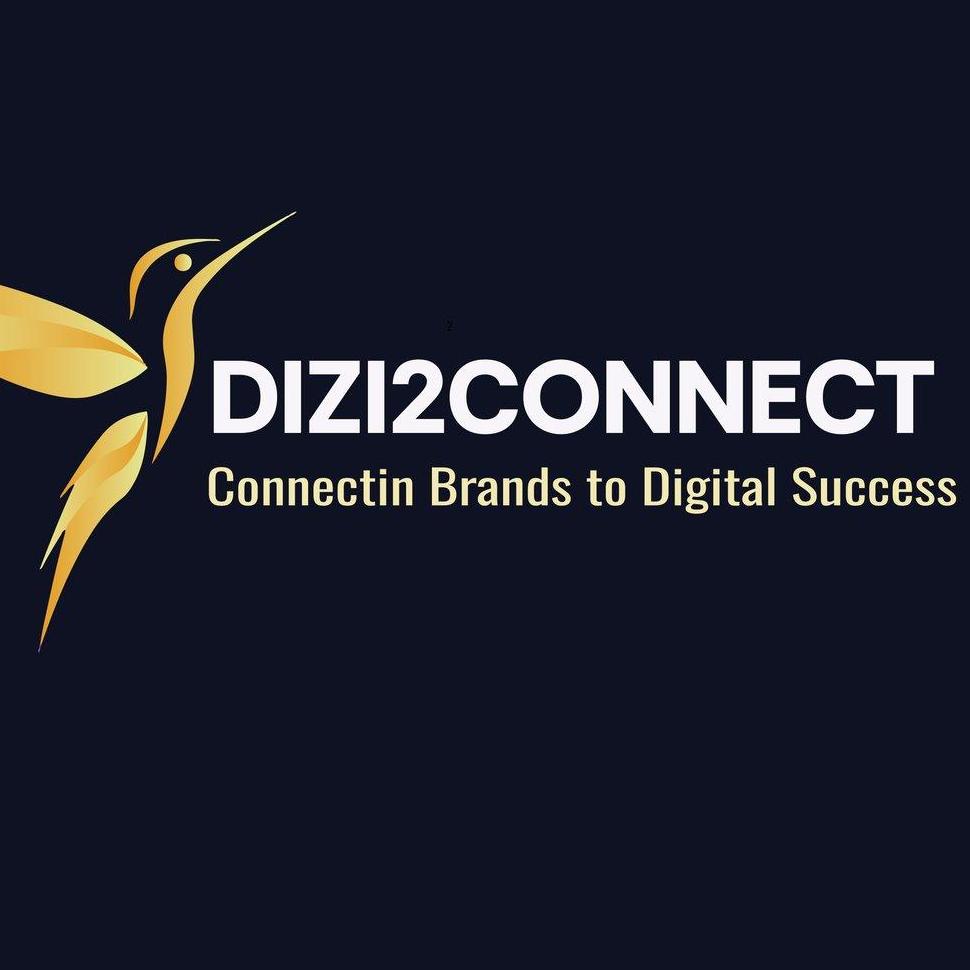 Dizi2connect
