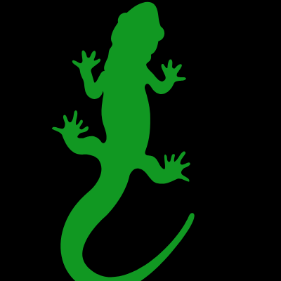 Digital Lizard