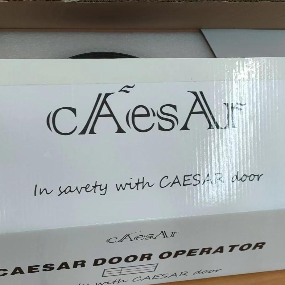 Automaticdoor Openingsystem