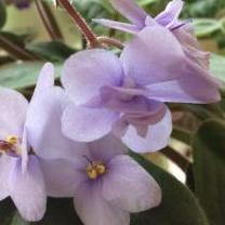 Gardeners Treasures