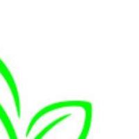 Wealthwise Health