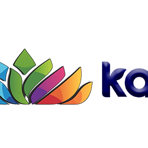 Ketan Sane