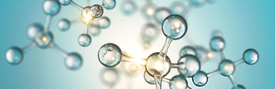 Panacea Chem  Specialities LLP